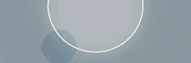 A single pale circle softly out of focus against a muted grey-blue background, flat vector illustration.