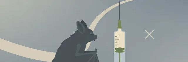 A bat silhouette in profile next to a small syringe representing the rabies vaccine, with a faint hair strand and subtle X in the background