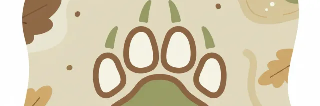 A single stylized bear paw print on a muted forest-floor background, flat vector illustration.