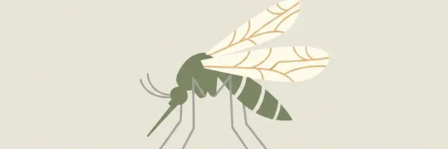 A single stylized mosquito silhouette resting on a pale neutral background, flat vector illustration in muted tones.
