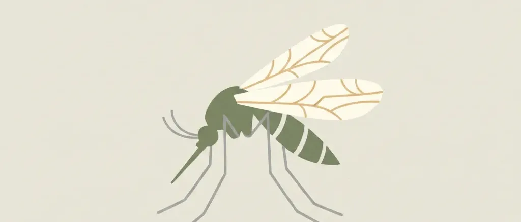 A single stylized mosquito silhouette resting on a pale neutral background, flat vector illustration in muted tones.