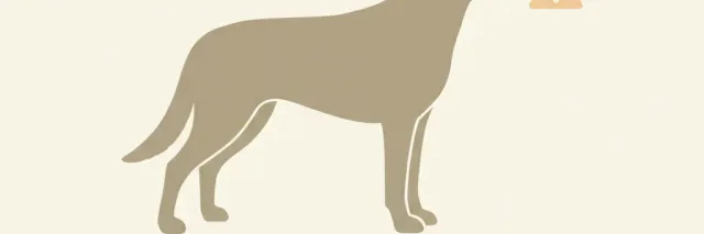 A simplified dog outline with a small warning triangle, flat vector illustration in muted tones.