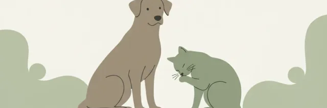 A dog and cat sitting calmly side by side, rendered as flat vector shapes in muted sage and warm grey tones, with empty space around them.