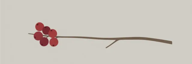 A single cluster of small red berries on a thin branch, flat vector illustration on a pale background.